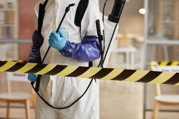 Professional Biohazard technician working in Villas, FL